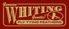 Whitting
